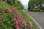 86  Sulla  strada asfaltata passaggio alle case di Camissinone